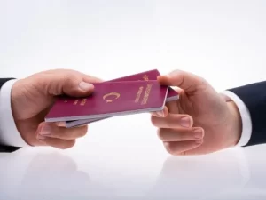 Citizenship by Investment in Turkey: A Pathway to Turkish Citizenship